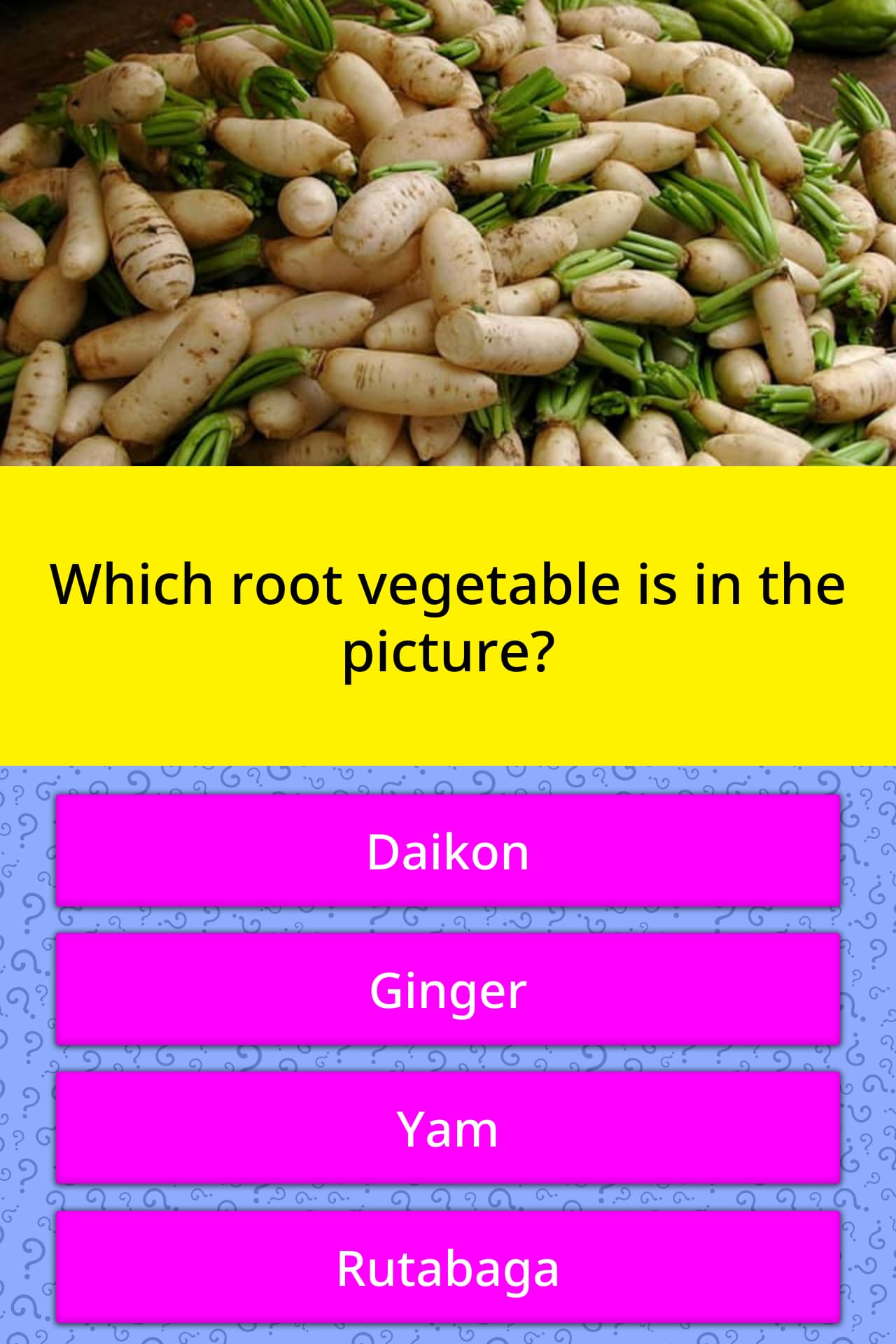 which-root-vegetable-is-in-the-picture-trivia-questions-quizzclub