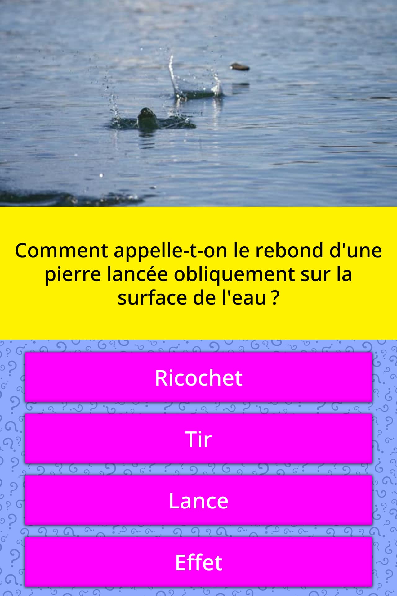 Rebond D Une Pierre Sur L Eau