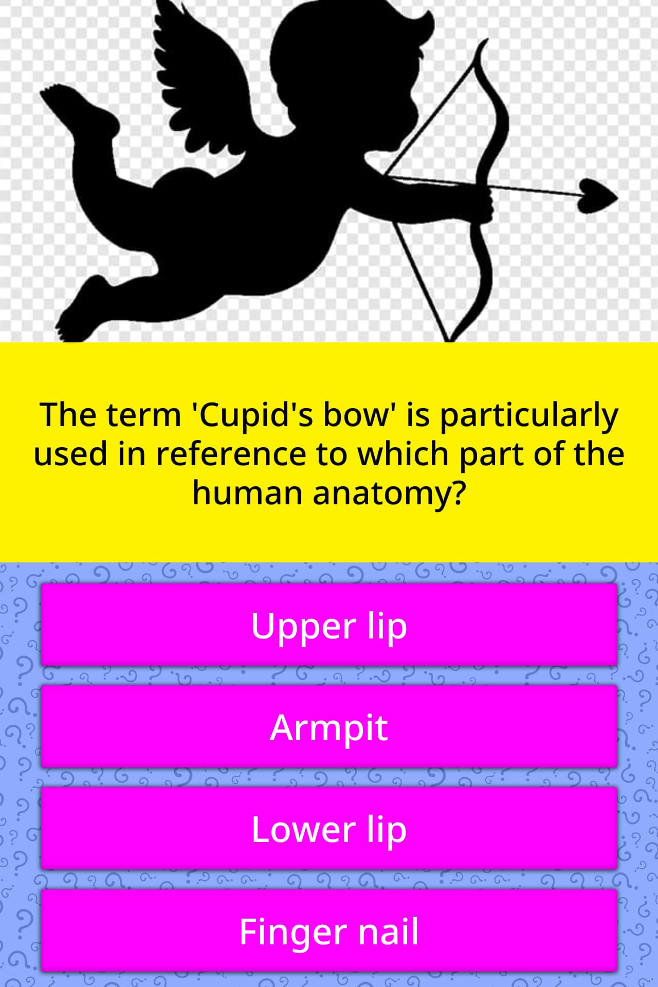 The term 'Cupid's bow' is... Trivia Questions