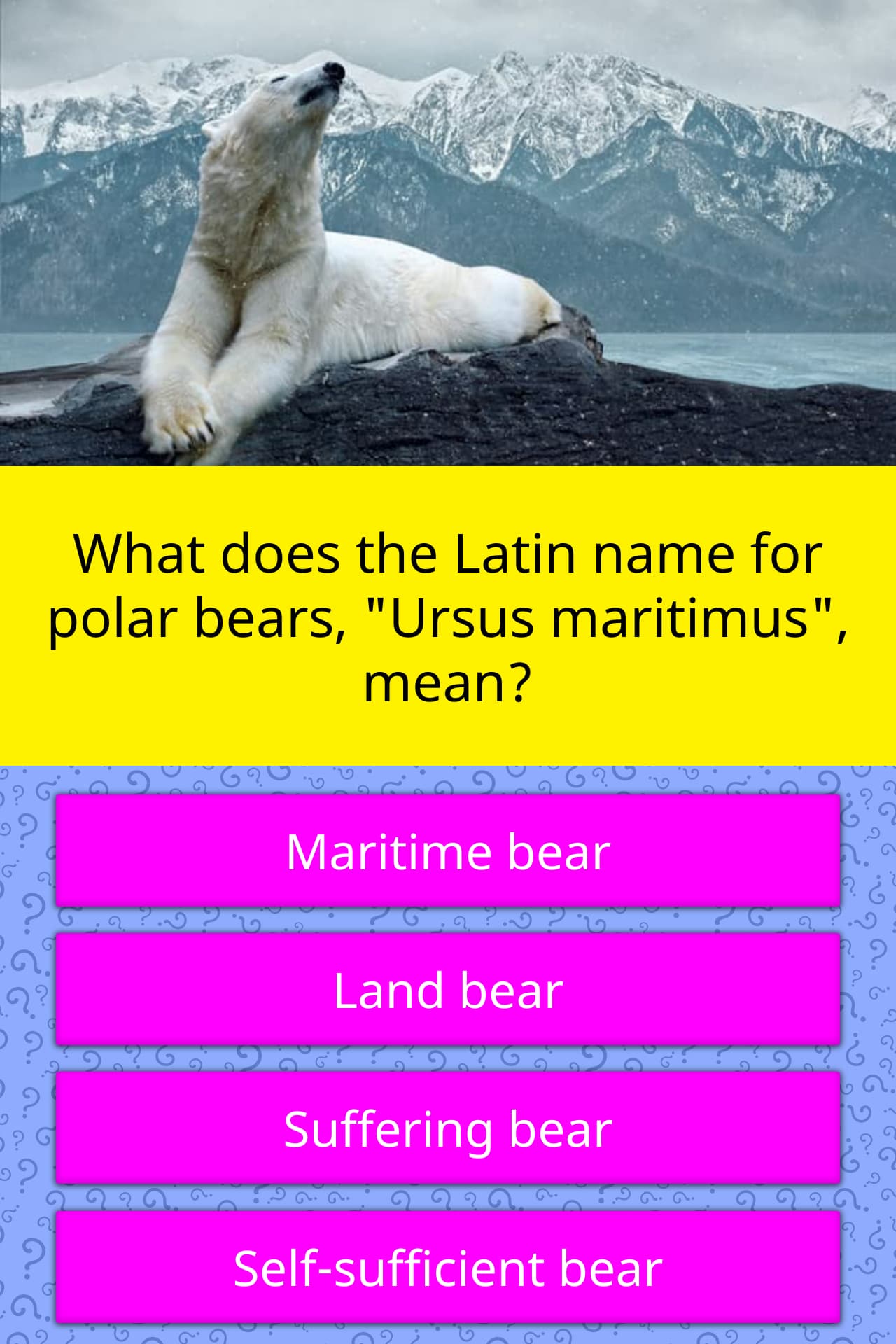 What Does The Latin Name For Polar Trivia Questions QuizzClub