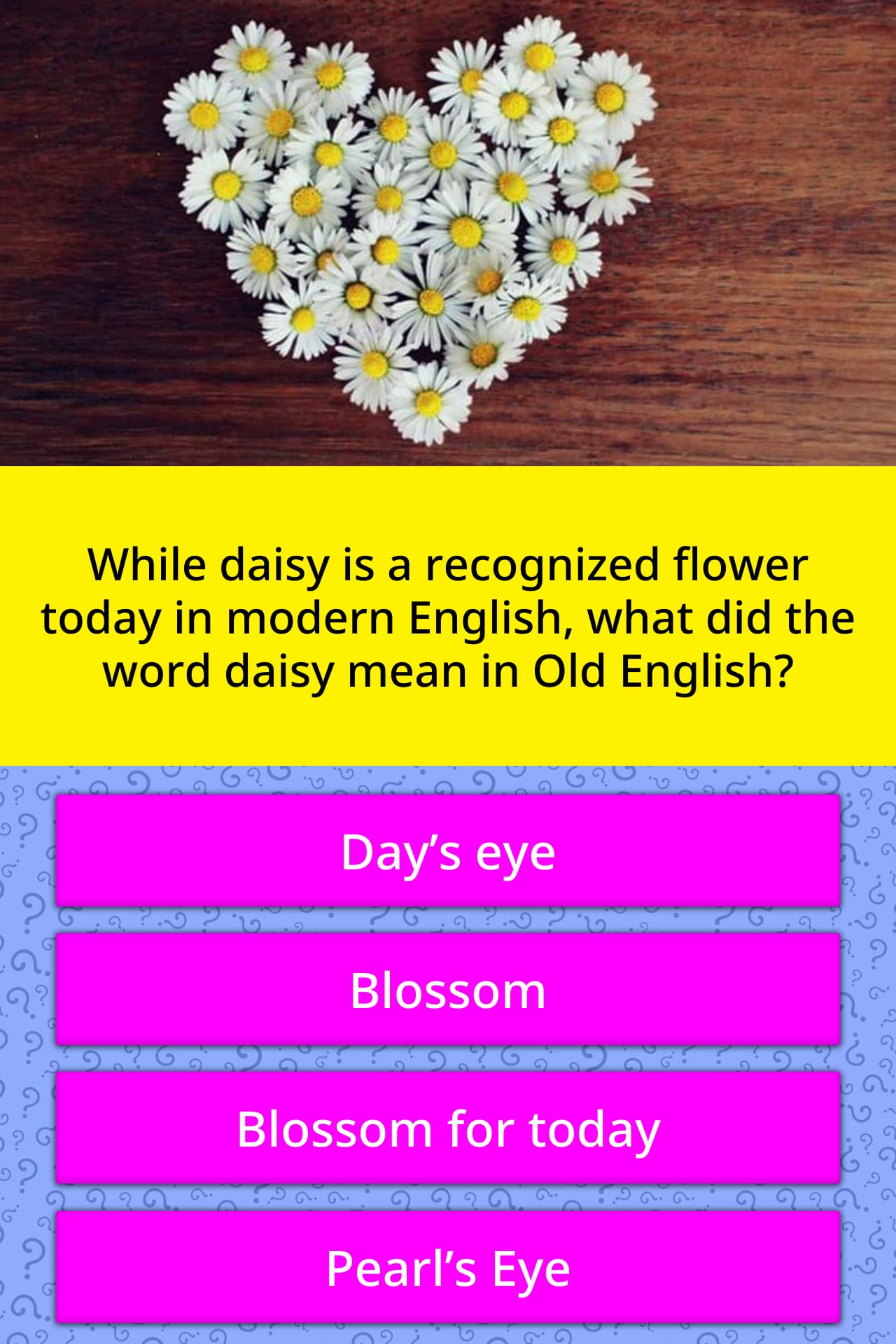While Daisy Is A Recognized Flower Trivia Answers QuizzClub