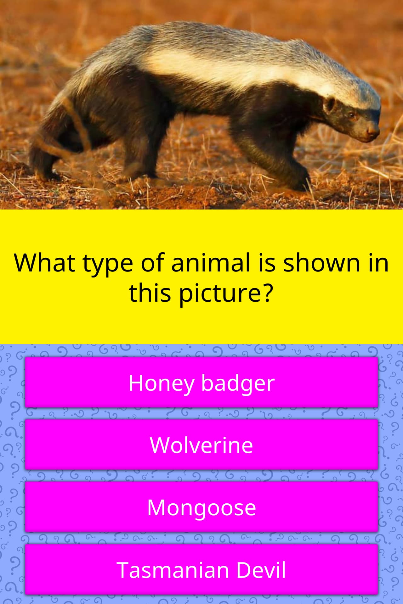 What type of animal is shown in this... | Trivia Questions | QuizzClub