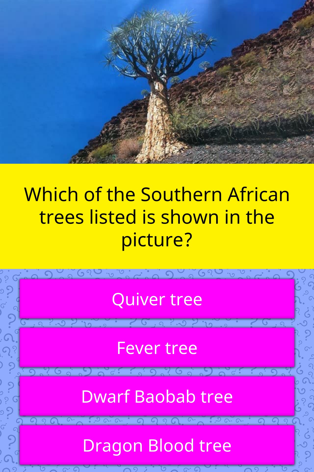 Which Of The Southern African Trees Trivia Questions QuizzClub