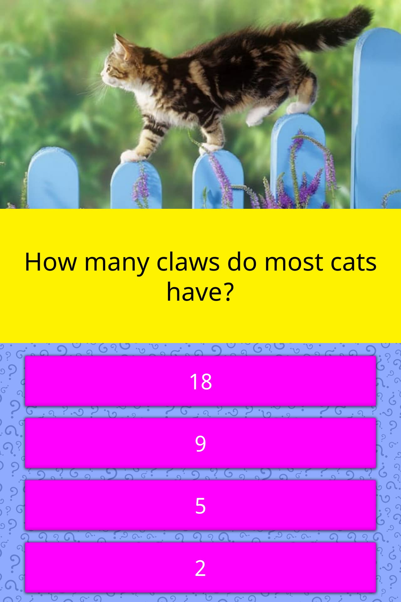 how-many-claws-do-most-cats-have-trivia-answers-quizzclub