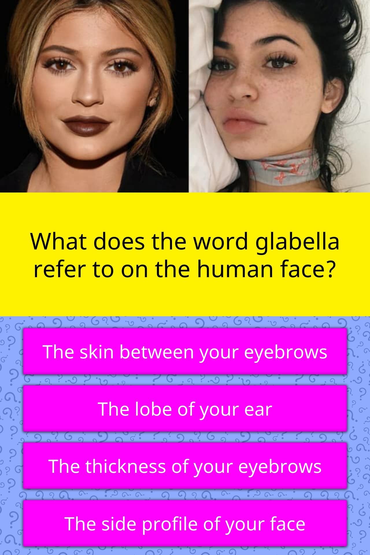 what-does-the-word-glabella-refer-to-trivia-answers-quizzclub