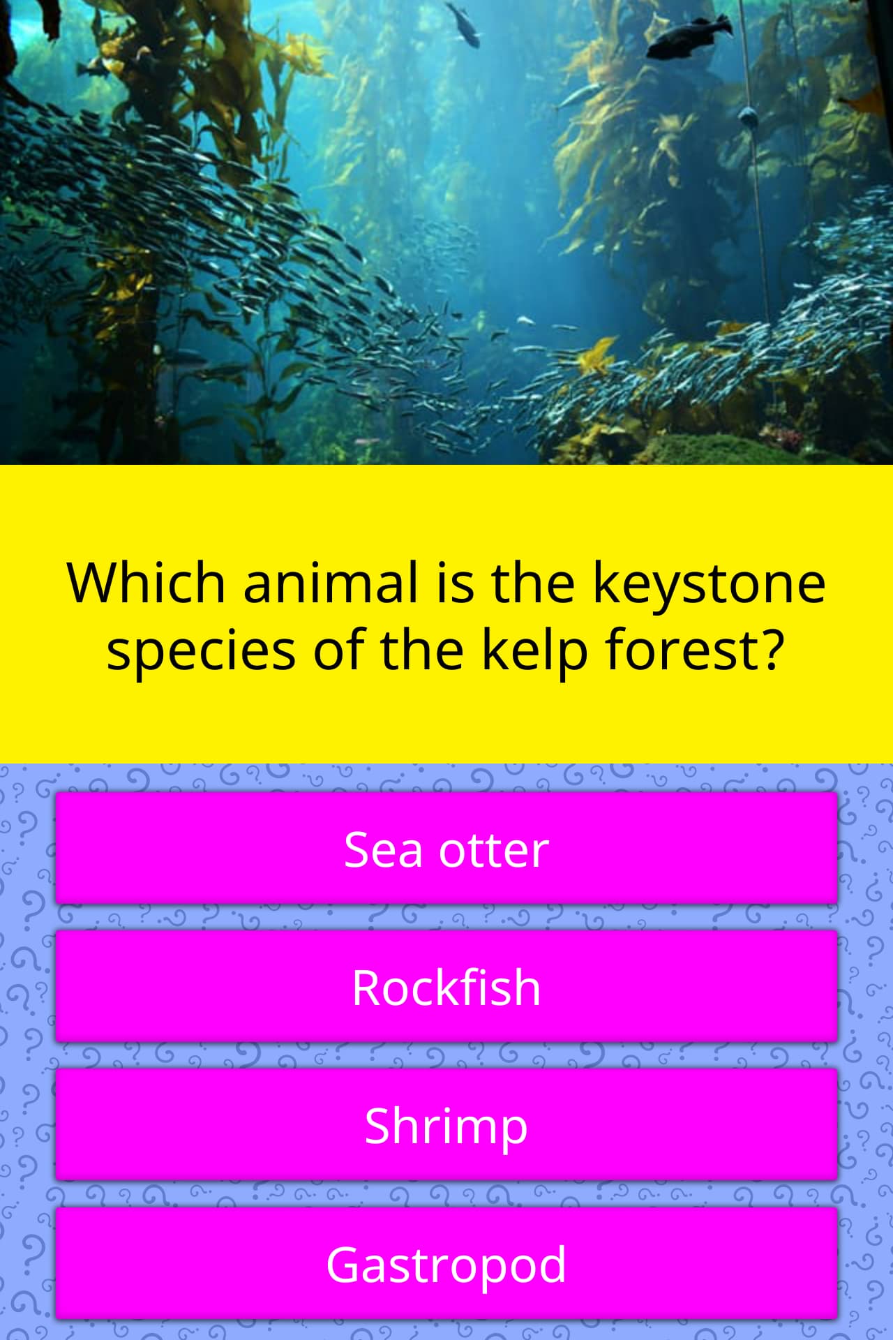 which-animal-is-the-keystone-species-trivia-questions-quizzclub