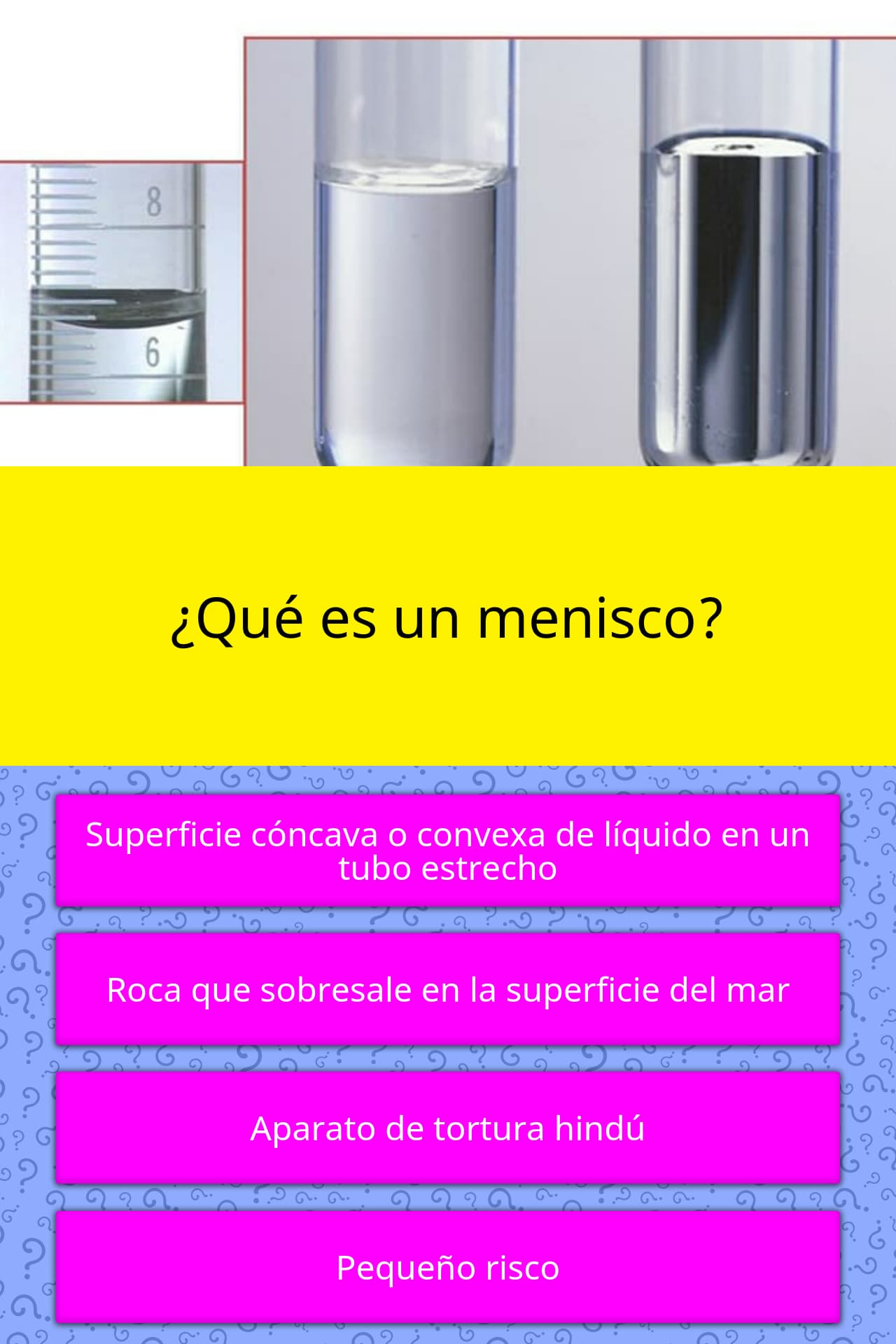 ¿Qué es un menisco? Las Preguntas Trivia ¿Qué es un menisco? Las Preguntas Trivia