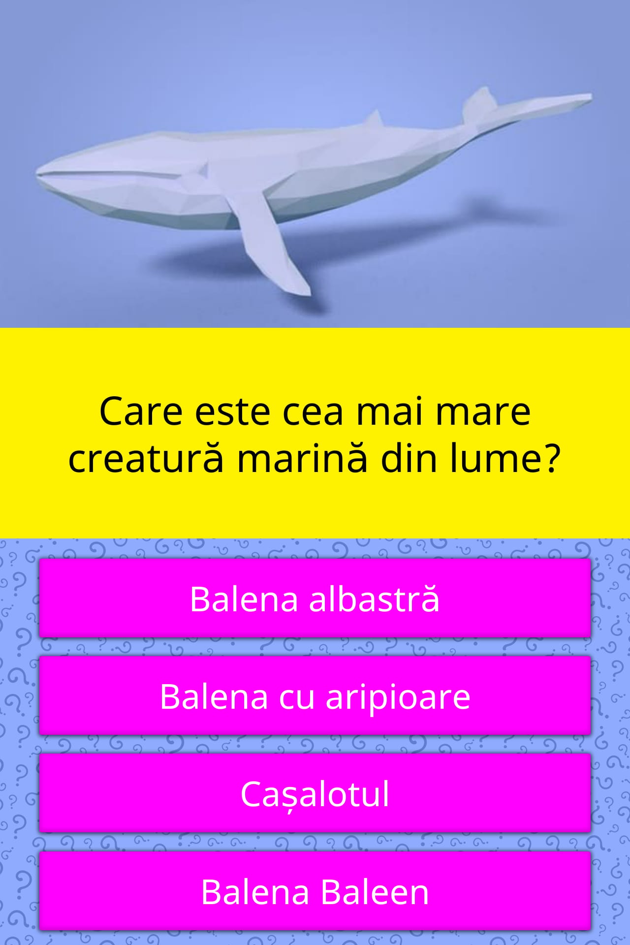 What Is The Largest Sea Creature In Trivia Questions QuizzClub