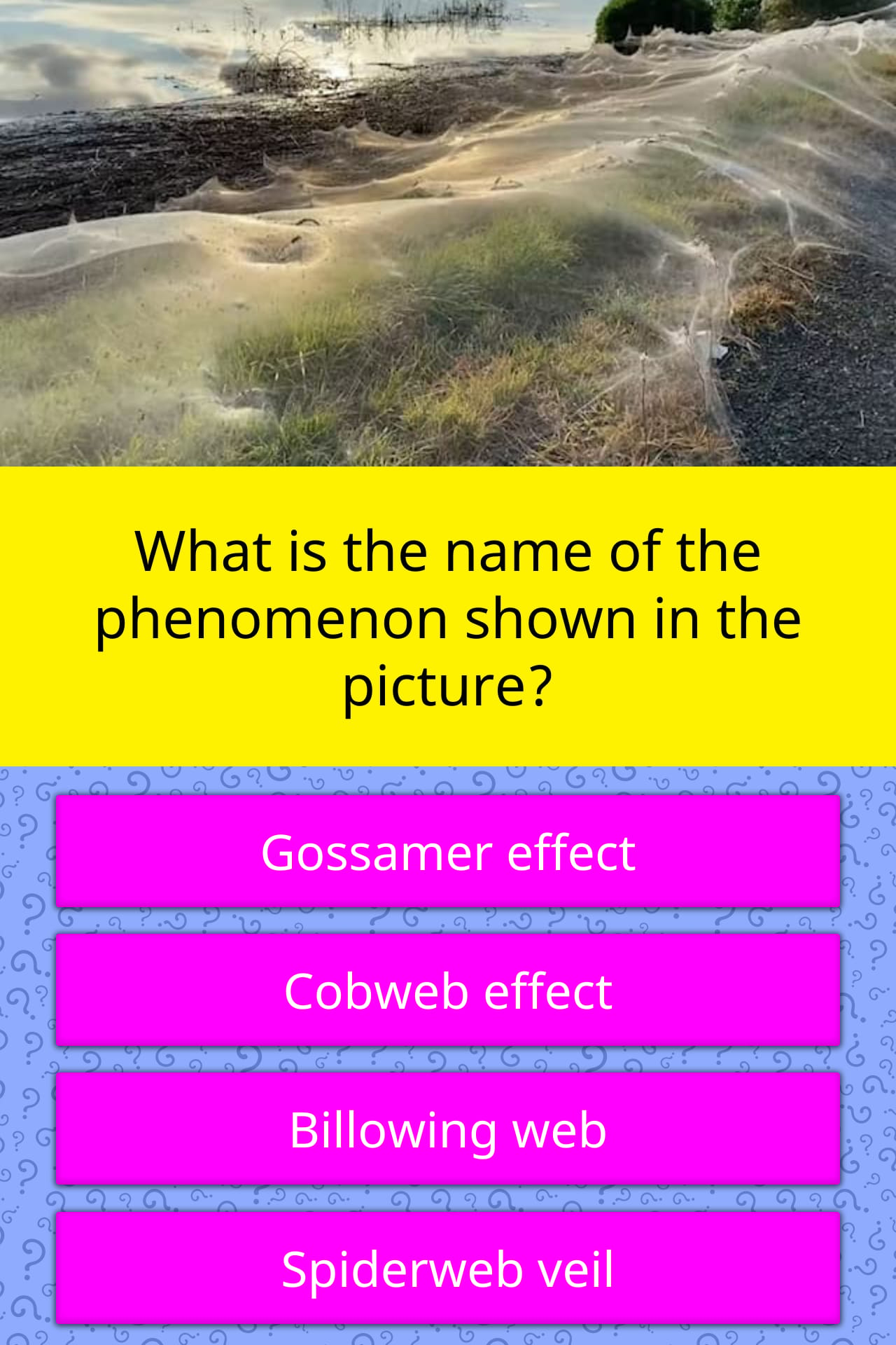 what-is-the-name-of-the-phenomenon-trivia-questions-quizzclub