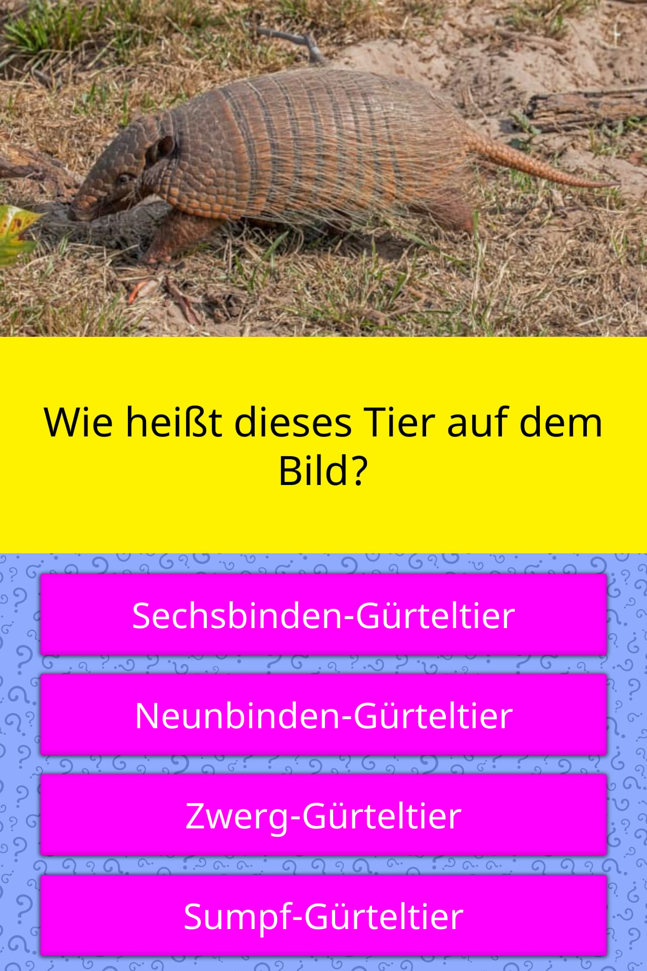 Wie heißt dieses Tier auf dem Bild? | Quizfragen | QuizzClub