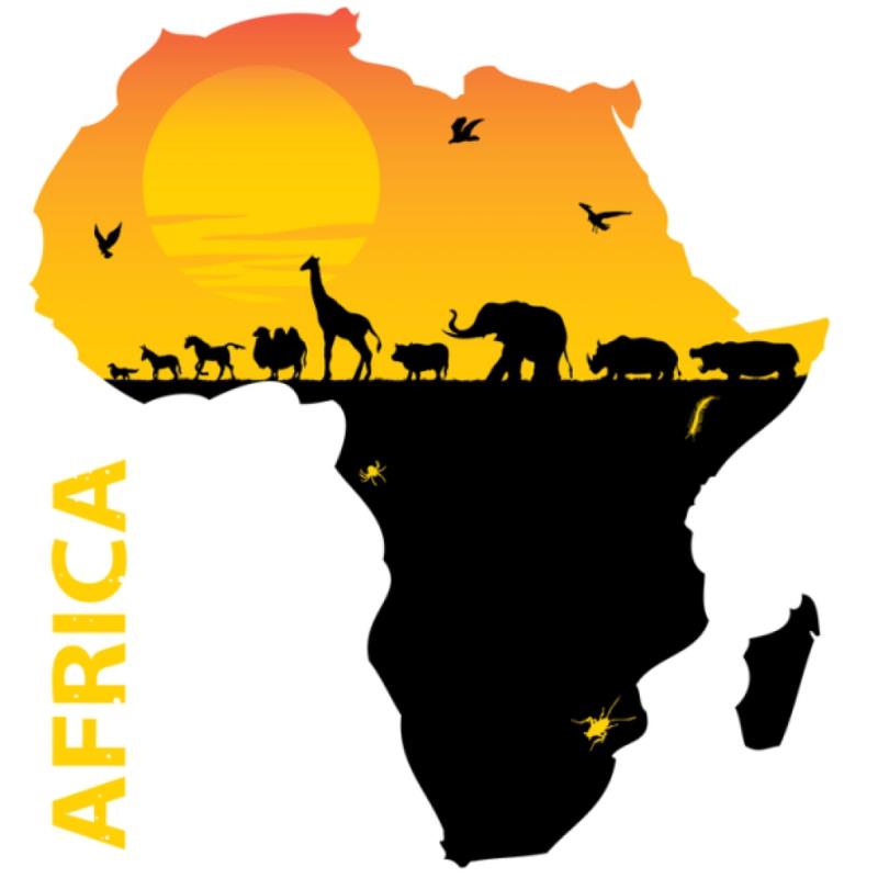 Society Trivia Question: What city in Africa is often called "the political capital of Africa", because of its significance to the continent?