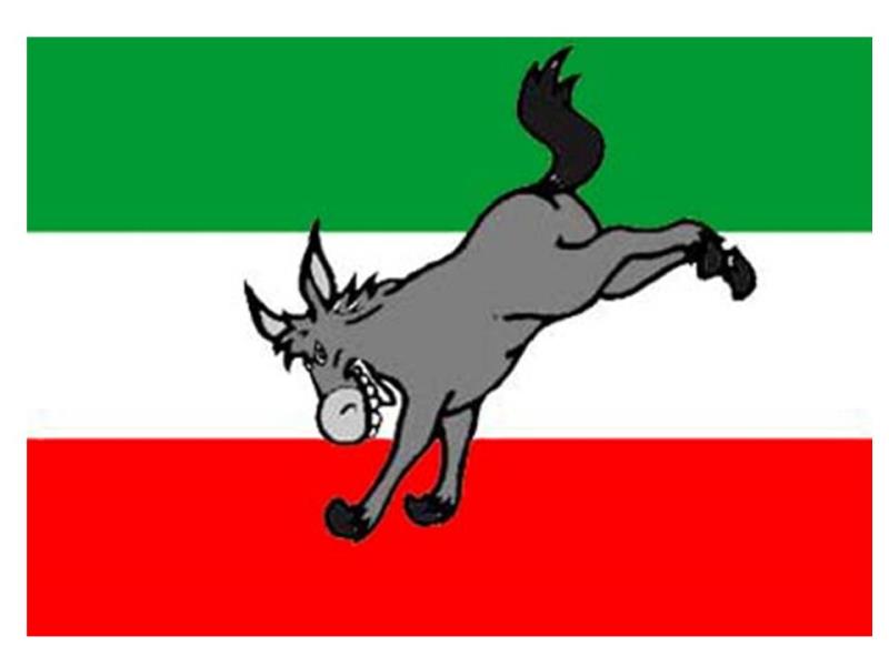 History Trivia Question: What is a "Persian Donkey"?