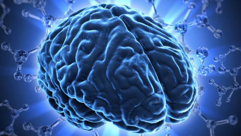 Science Trivia Question: What percentage of the brain do humans use mostly or actually everyday?