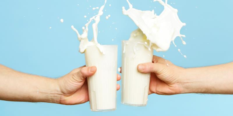 Society Trivia Question: Which country is the largest producer of milk in the world?