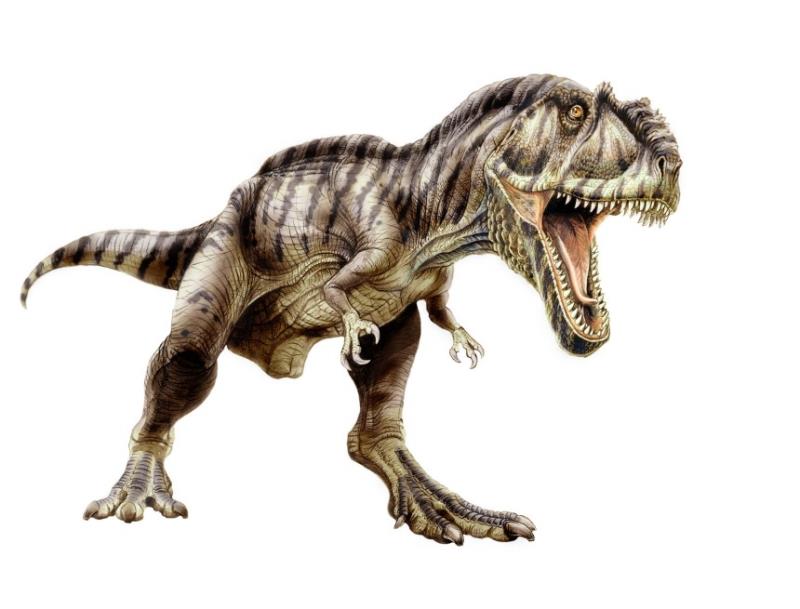 Scienza Domande: Chi ha coniato per primo il termine "Dinosauria"?