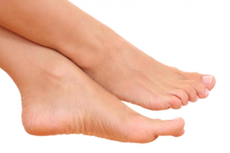 Science Trivia Question: How many bones are there in a human foot?