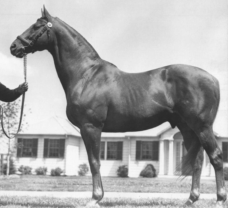 History Trivia Question: In his illustrious racing career the great Man o' War won all of his horse races except one, the Sanford Memorial Stakes,  where he lost by a neck. What was the name of the horse that beat him?