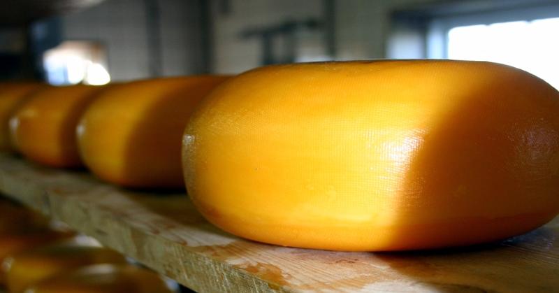 Культура Запитання-цікавинка: Назва якого з перерахованих сирів перекладається як "гнилий сир"?
