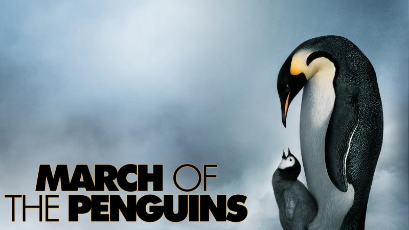Movies & TV Trivia Question: Which of these actors narrated the English version of the documentary 'The March of the Penguins'?