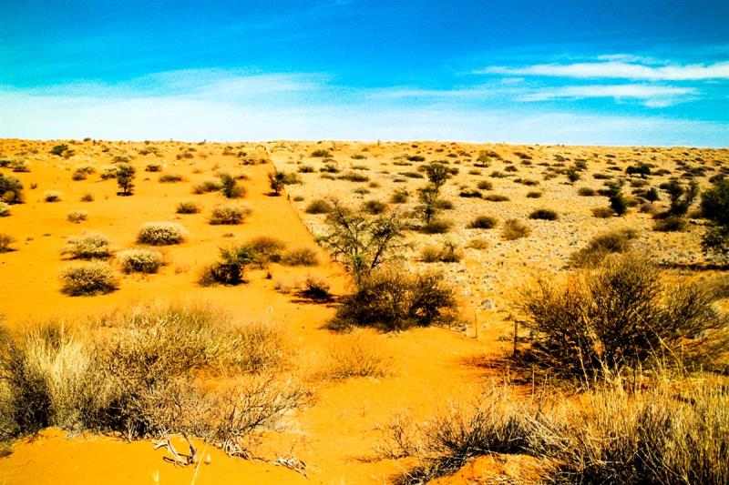 Geografía Pregunta Trivia: ¿Cuál de éstos países contiene la mayor parte del desierto de Kalahari?