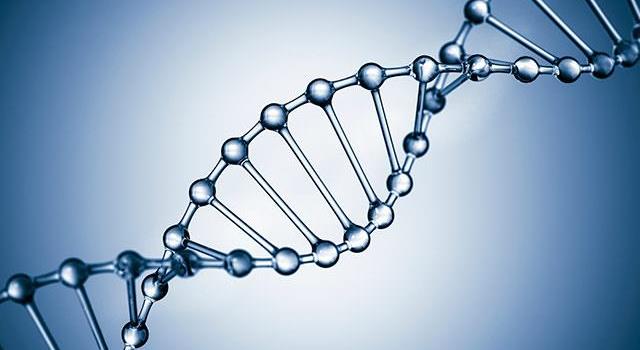 Science Trivia Question: How many nitrogenous bases are present in DNA?