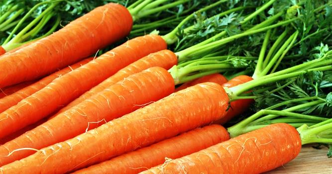 Наука Запитання-цікавинка: Якого кольору спочатку (до селекції) була морква?
