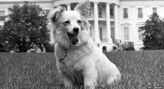 History Trivia Question: What was the name of the dog that Russian Premier Nikita Khrushchev gave to Caroline Kennedy?