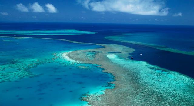 Geografia Pytanie-Ciekawostka: Gdzie jest Wielka Rafa Koralowa?