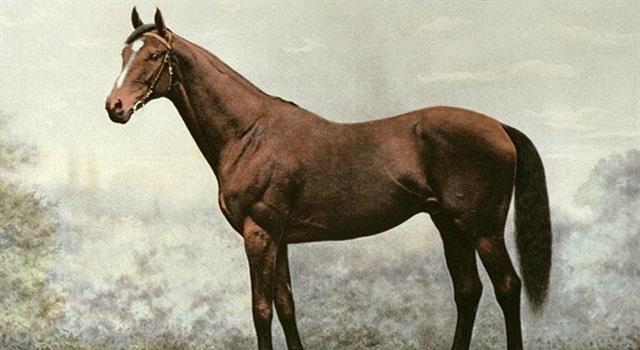 Sport Trivia Question: Which horse owned by the Prince of Wales, won the Derby, 2000 Guineas and the St. Ledger in 1900?
