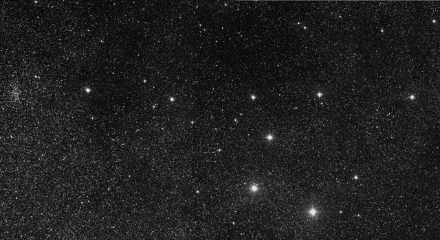 Nature Trivia Question: What is the English meaning for the Latin constellation Vulpecula?