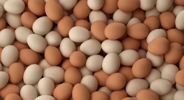 Science Trivia Question: Which of these vitamins is not present in chicken eggs?