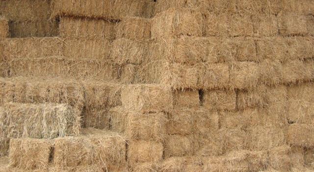 Culture Trivia Question: In agriculture what word is used to describe a bundle of hay or straw of a specific weight?