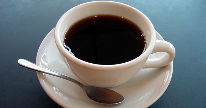 Природа Вопрос: Как добывают зёрна  самого дорогого кофе в мире?