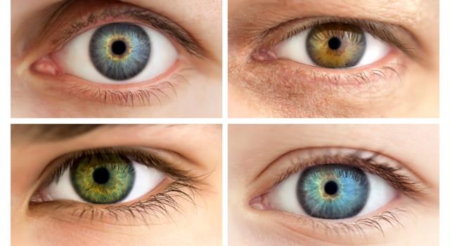 Science Trivia Question: What determines a person's eye color?