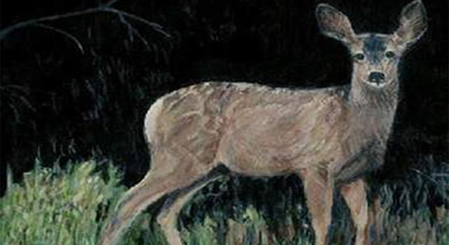 Culture Trivia Question: What was the name of Jody's pet fawn in the Marjorie Rawlings novel "The Yearling"?