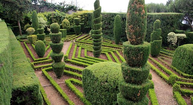 Society Trivia Question: Which botanical garden features a 14-foot topiary dragon?