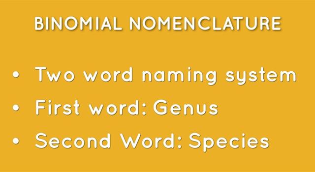 Science Trivia Question: Which scientist is credited with devising the system of naming animals by two Latin words, known as binomial nomenclature?