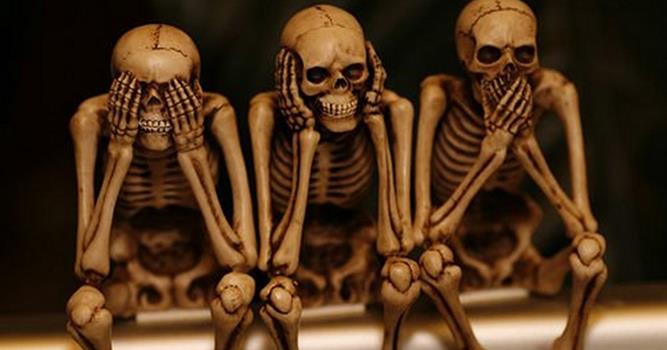 Наука Вопрос: Какие кости в человеческом скелете бывают не только «истинными» и «ложными», но даже «колеблющимися»?