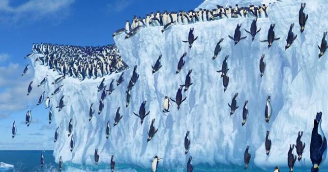 География Вопрос: Какой была самая высокая температура, когда-либо зарегистрированная на территории континентальной части Антарктиды (по состоянию на начало 2017 года)?