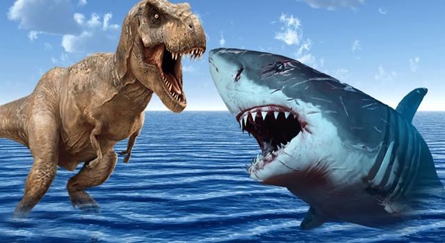 Nature Trivia Question: Now extinct, what shark is thought to have been the largest on Earth?