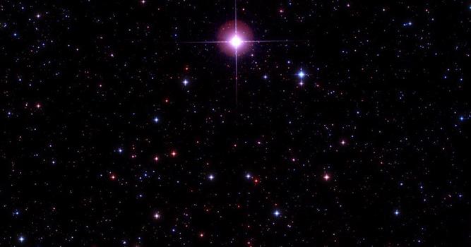 Наука Вопрос: Одним из самых известных астеризмов на звездном небе Северного полушария является так называемый Малый Ковш. Известен он потому, что в его состав входит Полярная звезда. А сколько всего звезд входит в этот астеризм?