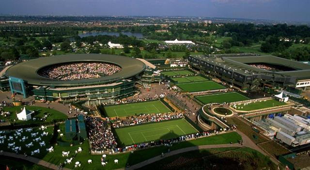 History Trivia Question: How many tournament grass courts does Wimbledon have?