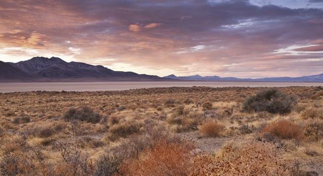 Geography Trivia Question: In which U.S. state would you find the Black Rock Desert?