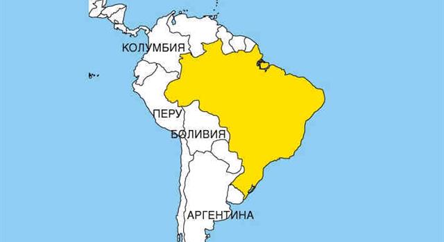 География Вопрос: Известно, что Бразилия - федеративное государство, состоящее из 26 штатов и одного федерального (столичного) округа. А какой из штатов Бразилии является самым большим по площади?