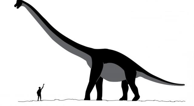 Наука Вопрос: Какой динозавр был самым крупным по массе (до 220 - 240 тонн)?
