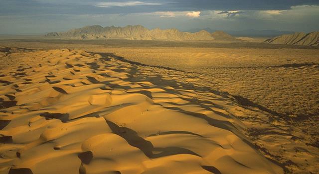 География Вопрос: Где находится пустыня Сонора?