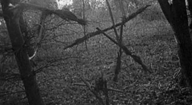 Movies & TV Trivia Question: In which US state does "The Blair Witch Project" take place in?