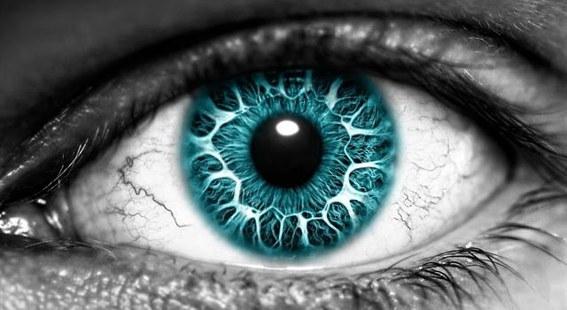 Наука Вопрос: Как называется основной зрительный пигмент, содержащийся в палочках сетчатки глаза человека и других животных?