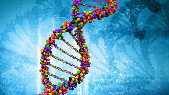 Общество Вопрос: Какого числа отмечают Международный день ДНК?