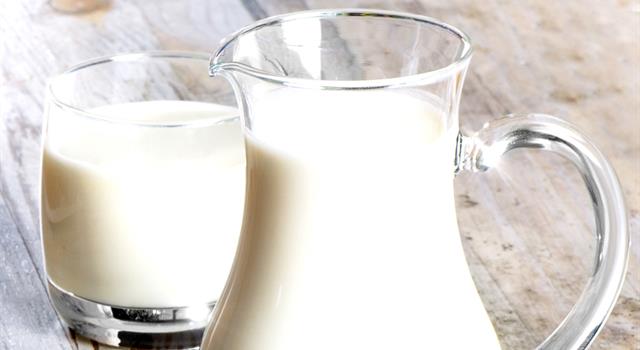 Природа Вопрос: Молоко какого млекопитающего наиболее калорийно?